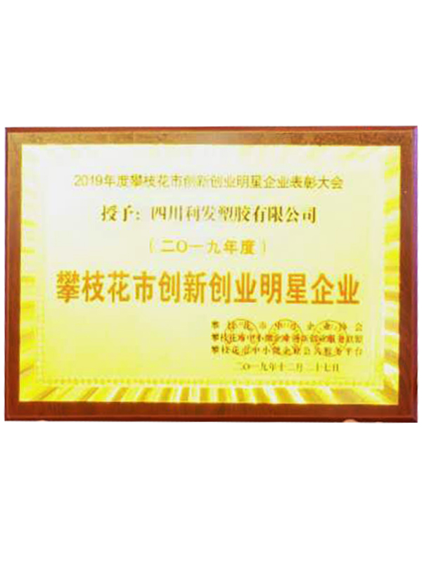攀枝花市創(chuàng)新創(chuàng)業(yè)明星企業(yè)